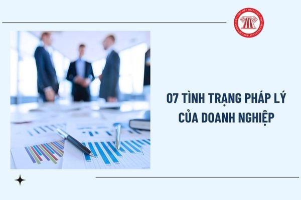 Pháp luật