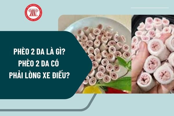 Pháp luật