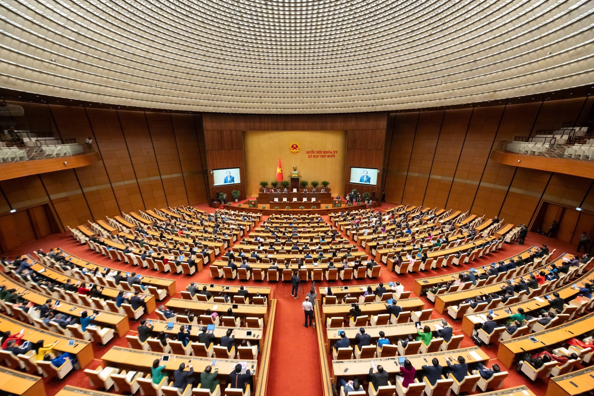 Pháp luật