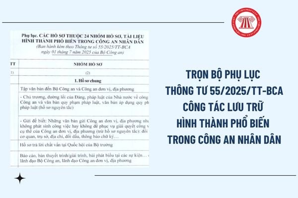 Pháp luật