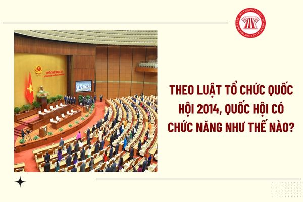 Pháp luật