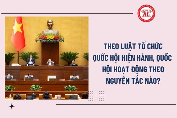Pháp luật