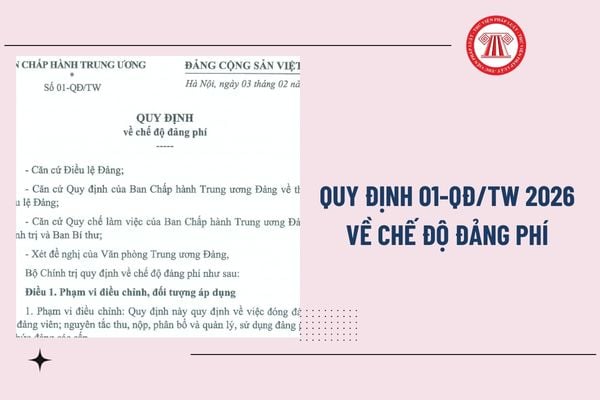 Pháp luật