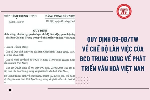 Pháp luật