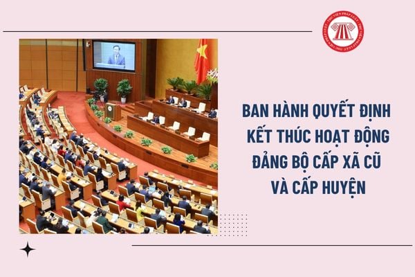 Pháp luật