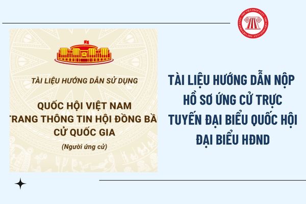 Pháp luật