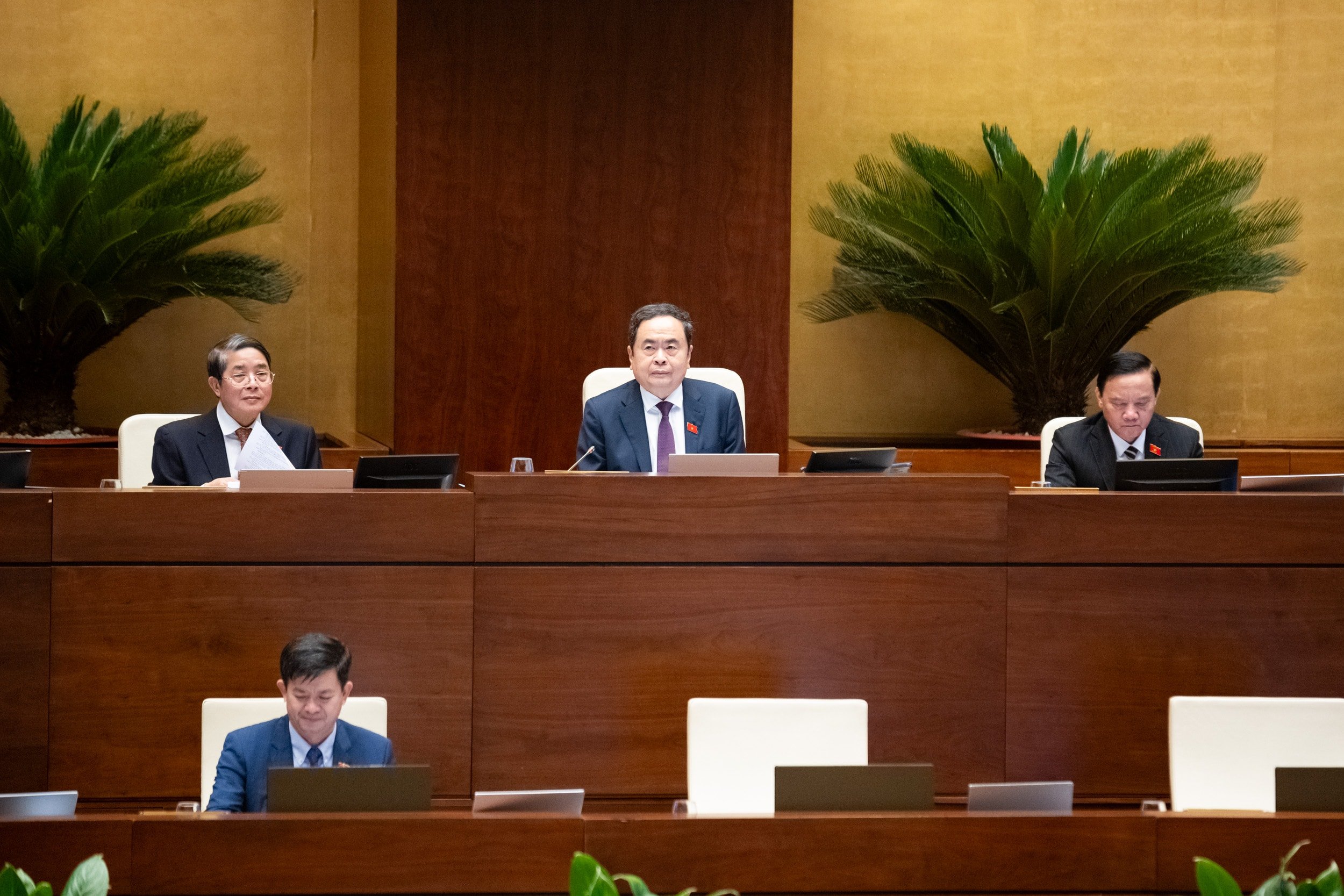 Pháp luật
