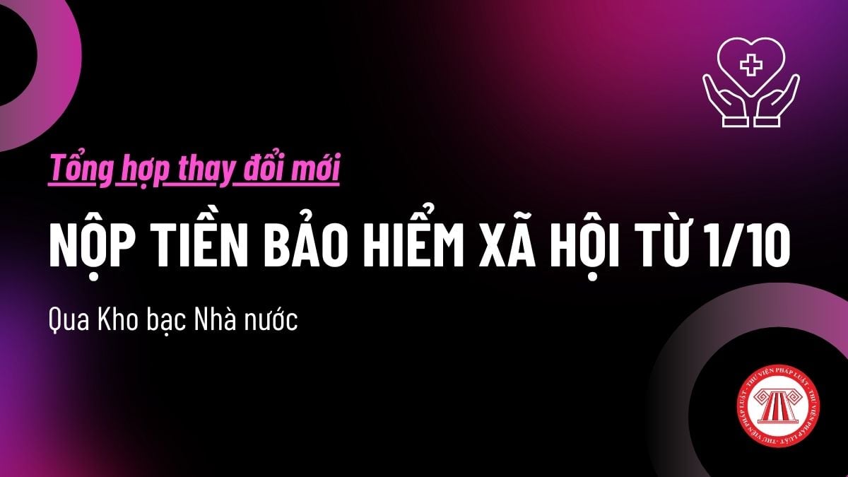 Pháp luật