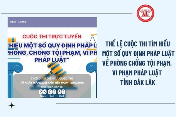 Pháp luật