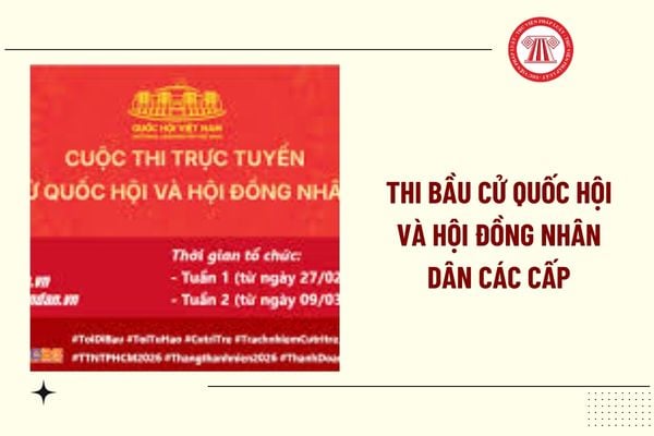 Pháp luật
