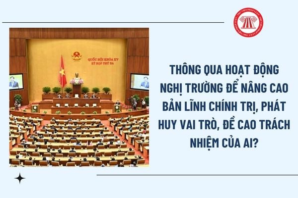 Pháp luật