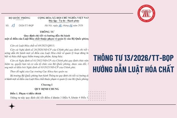 Pháp luật