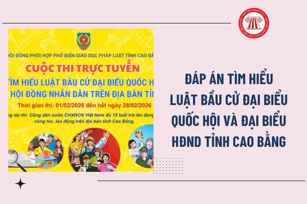 Pháp luật