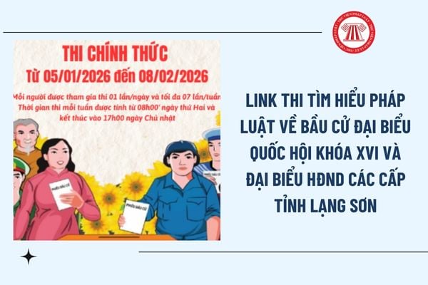 Pháp luật