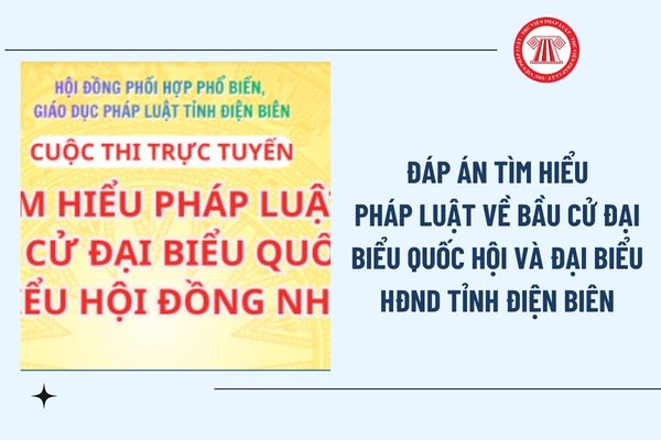 Pháp luật