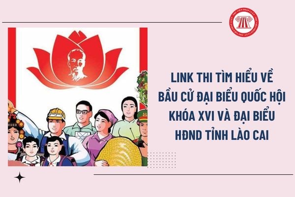 Pháp luật