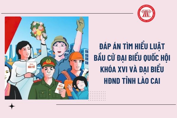 Pháp luật