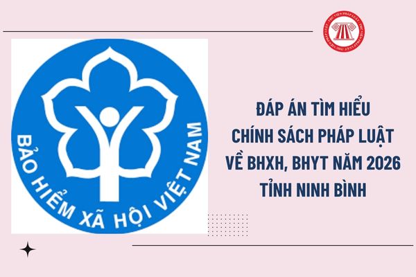 Pháp luật
