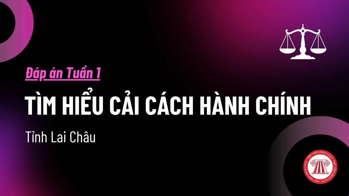 Pháp luật