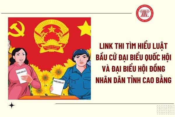 Pháp luật