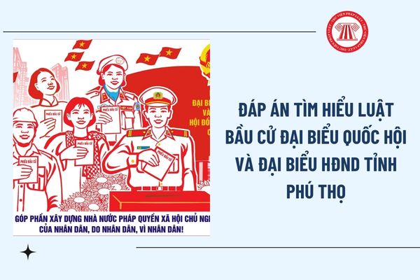 Pháp luật