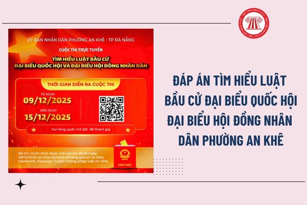 Pháp luật