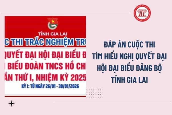 Pháp luật