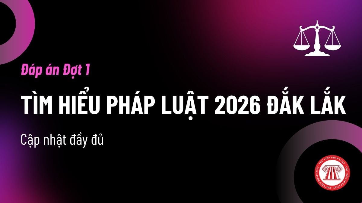 Pháp luật