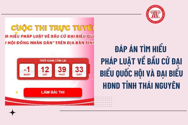 Pháp luật