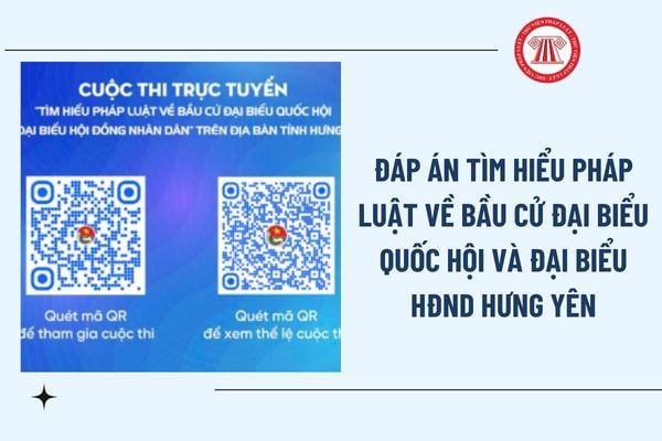 Pháp luật