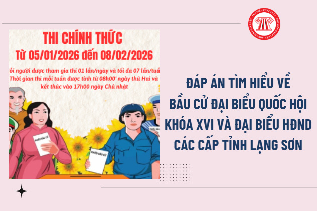 Pháp luật