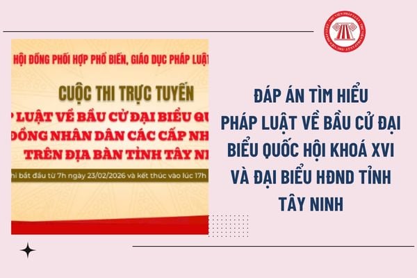 Pháp luật
