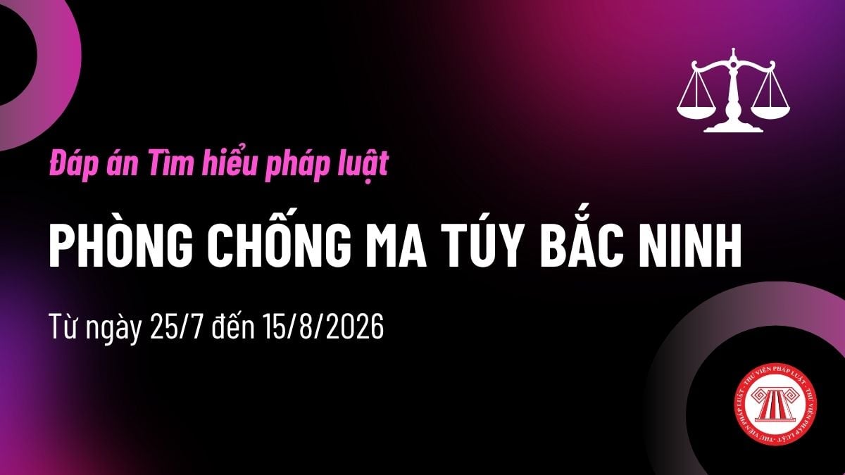 Pháp luật