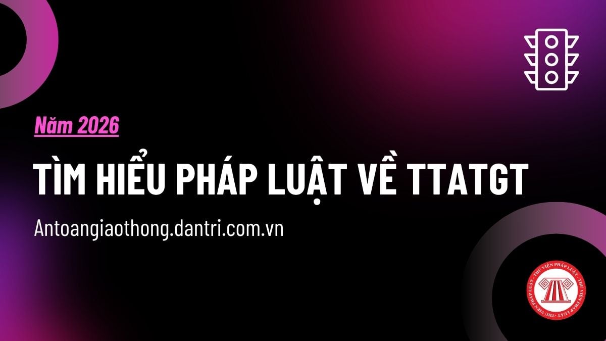 Pháp luật