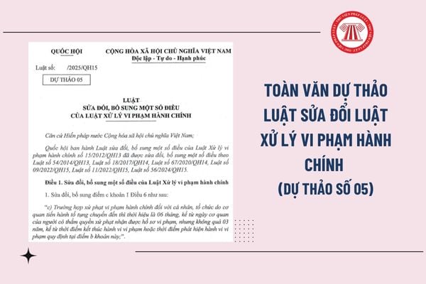 Pháp luật