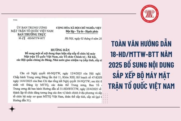 Pháp luật