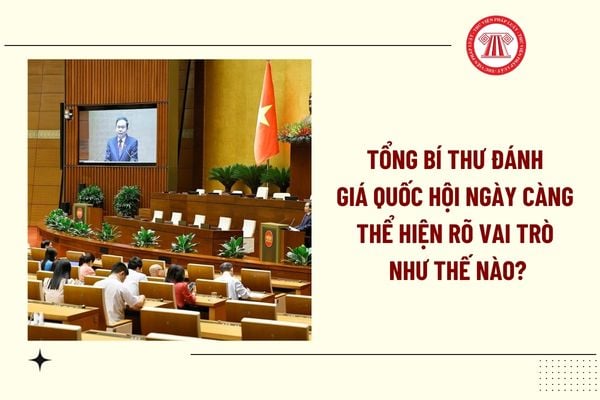 Pháp luật