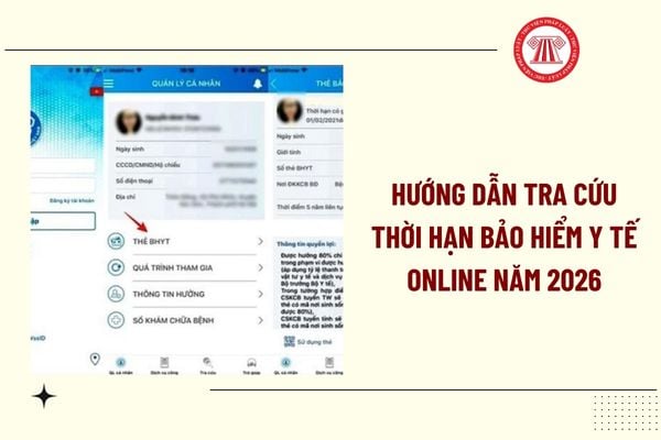 Pháp luật