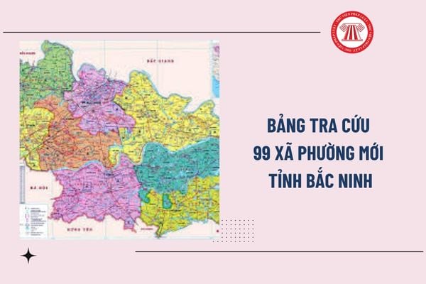 Pháp luật