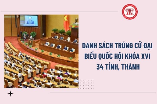 Pháp luật