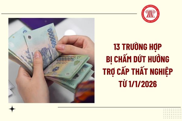 Pháp luật