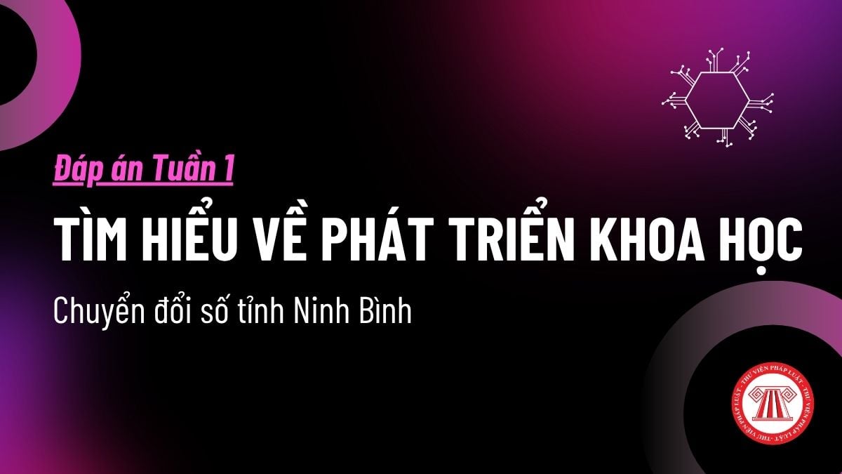Pháp luật