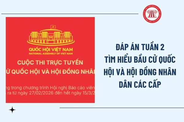 Pháp luật