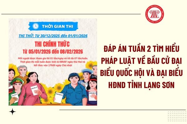 Pháp luật
