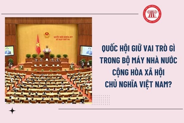 Pháp luật