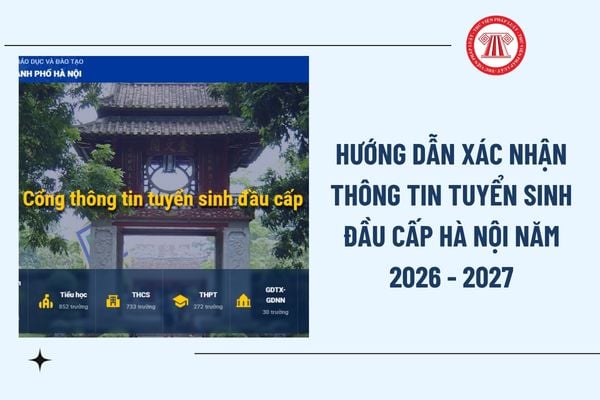Pháp luật