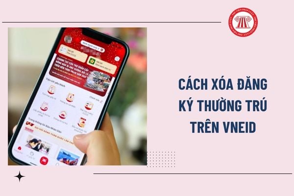 Pháp luật