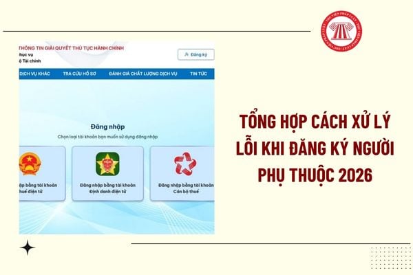 Pháp luật
