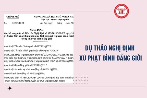 Pháp luật