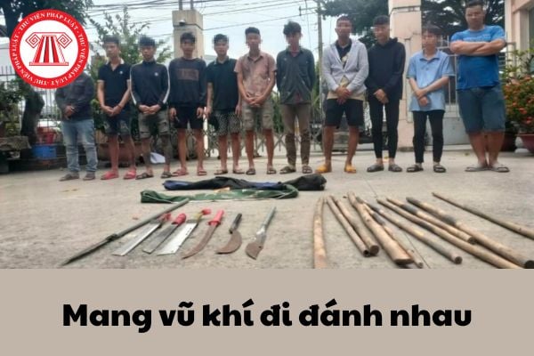 Pháp luật